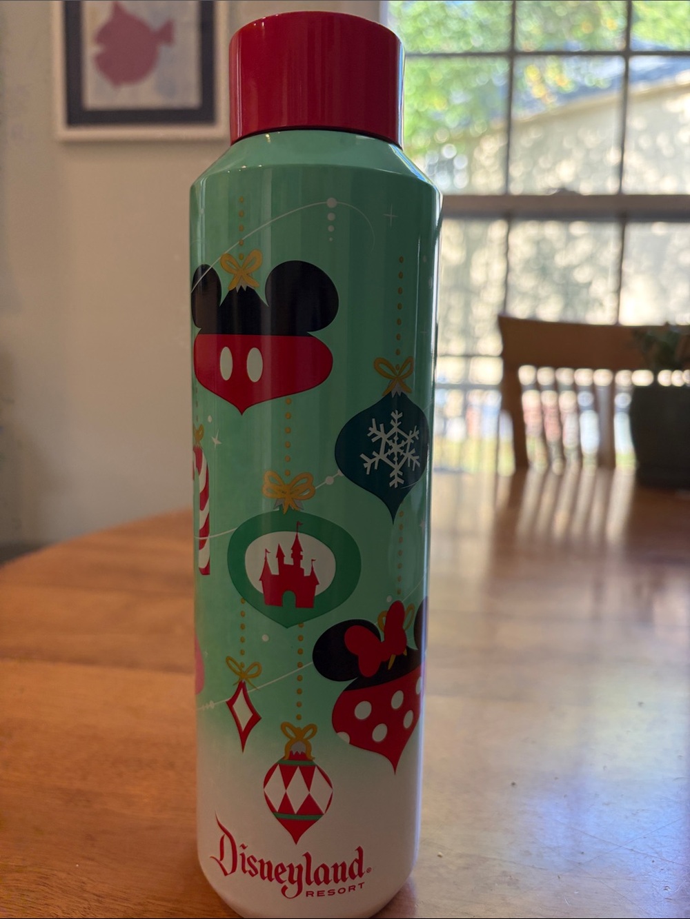 Disney Holiday Ornament Water Bottle — Green and Red